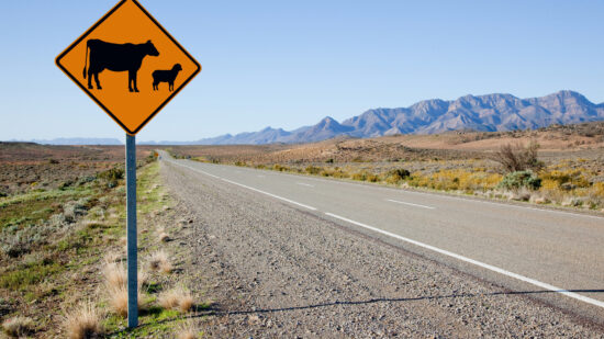 A Change in Circumstances Can Make All the Difference in Insurance Coverage