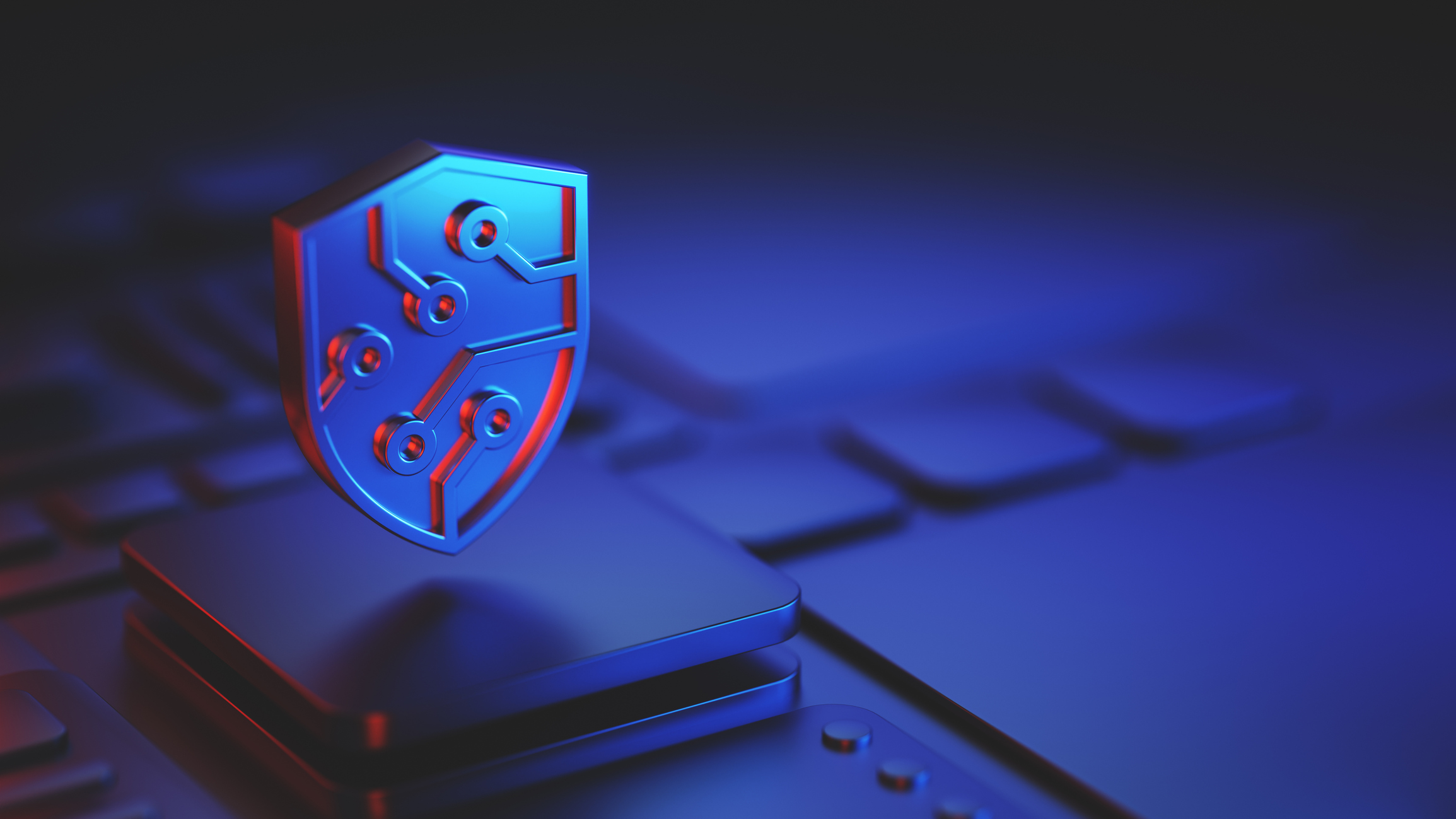 Defining Artificial Intelligence for Cyber and Data Privacy Insurance